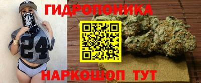 гашик Бузулук