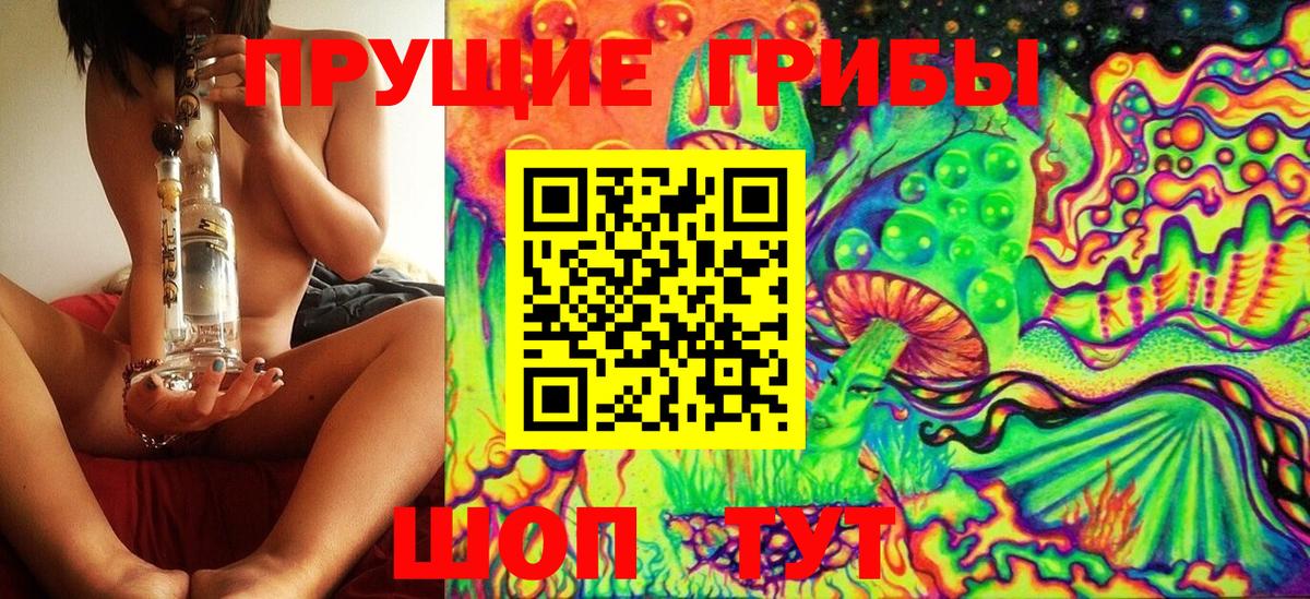 Псилоцибиновые грибы GOLDEN TEACHER  Дятьково 