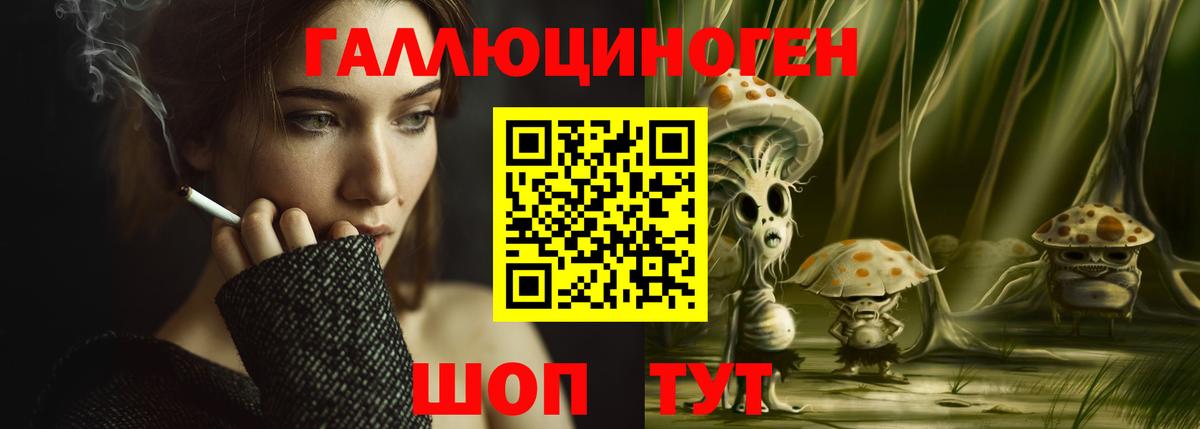Дятьково  Псилоцибиновые грибы Psilocybe  Вход с VPN 